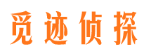 武冈市私家侦探